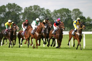 Horse-racing-1